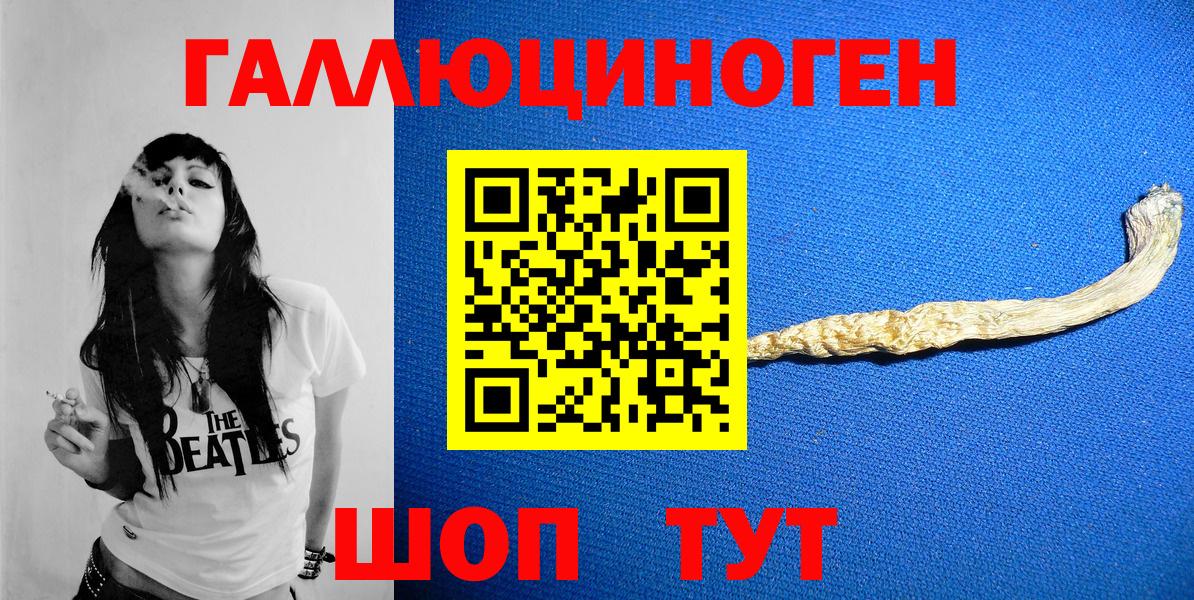 Псилоцибиновые грибы Cubensis Нурлат