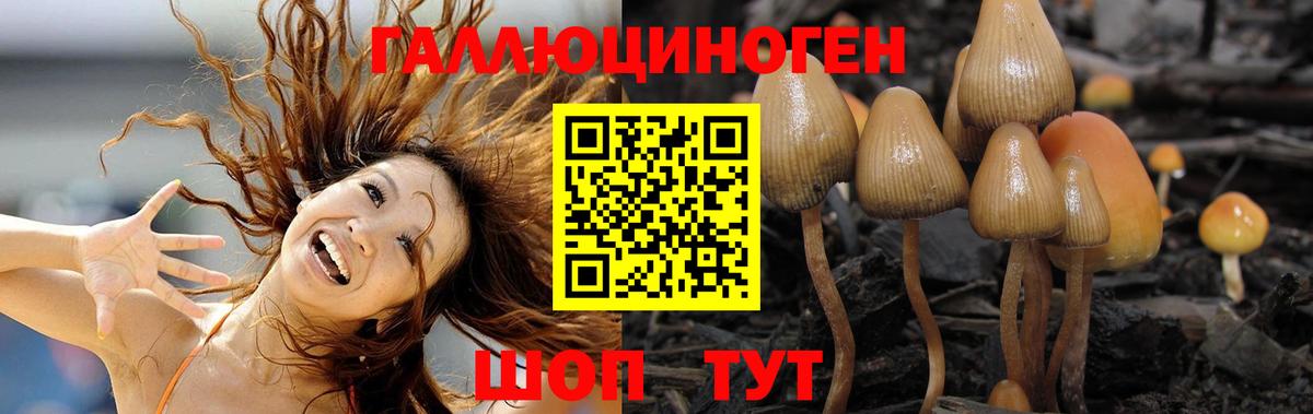 Галлюциногенные грибы MAGIC MUSHROOMS  Вход с VPN  Нурлат  где купить   Псилоцибиновые грибы Psilocybine cubensis 